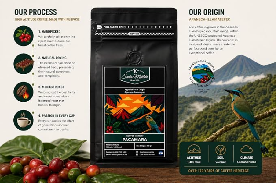 Café en Grano Pacamara Santa Matilde, El Salvador – Proceso Natural, Origen Único | Denominación de Origen Apaneca-Ilamatepec | Tueste Medio, 400 g | Notas de Fresa, Ciruela y Chocolate | Variedad Rara SHG