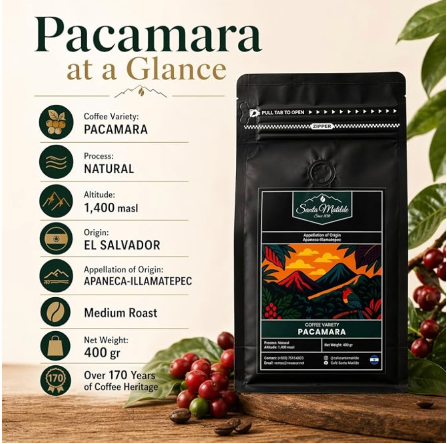 Café en Grano Pacamara Santa Matilde, El Salvador – Proceso Natural, Origen Único | Denominación de Origen Apaneca-Ilamatepec | Tueste Medio, 400 g | Notas de Fresa, Ciruela y Chocolate | Variedad Rara SHG